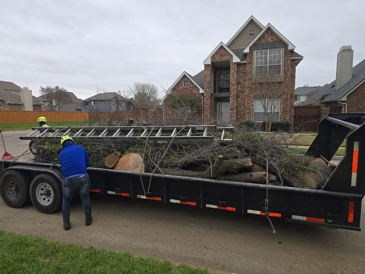Expert Tree Fertilization with proper safety equipment in Duncansville